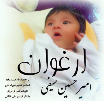 امیرحسین سیفی ارغوان